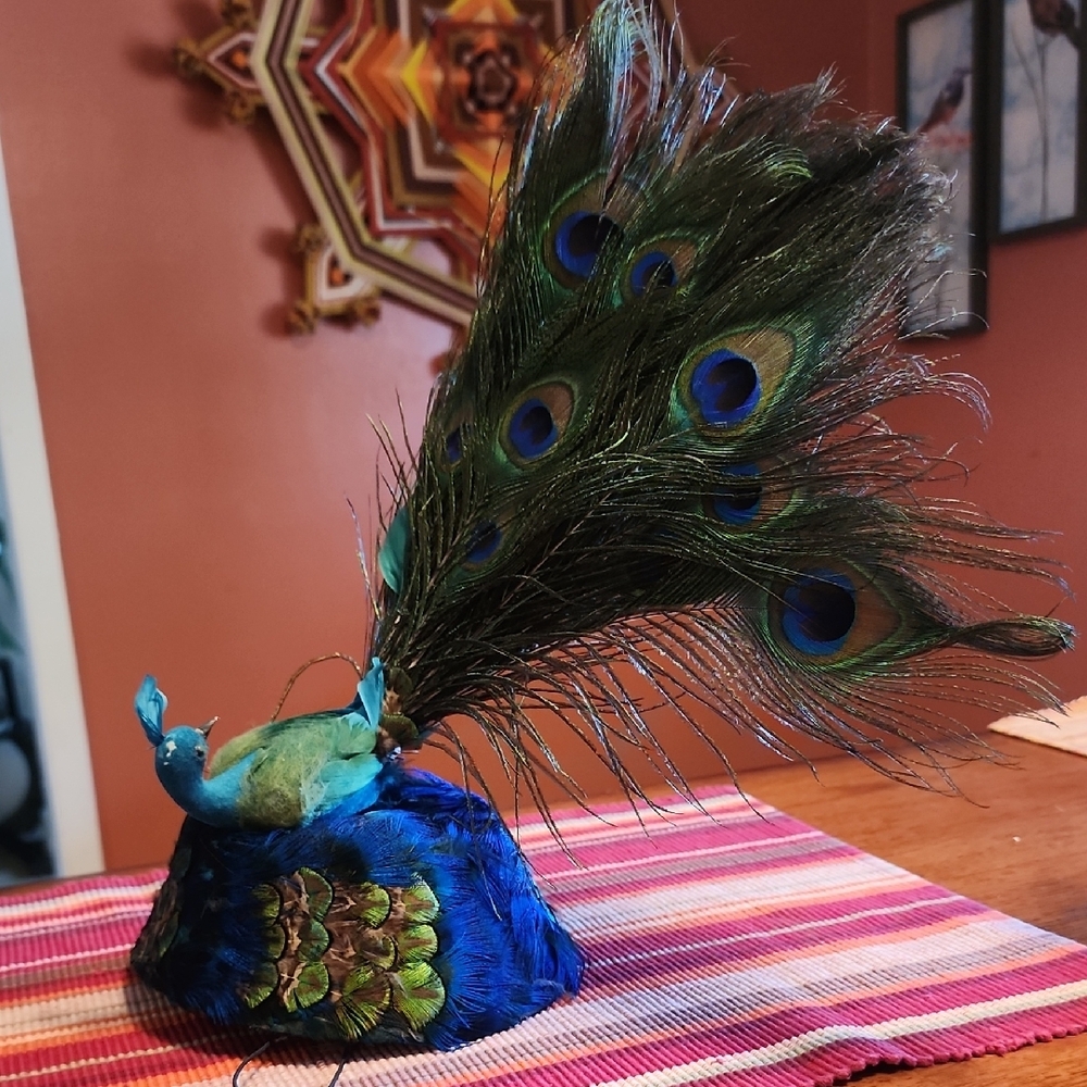 Peacock Feather Fascinator Hat
